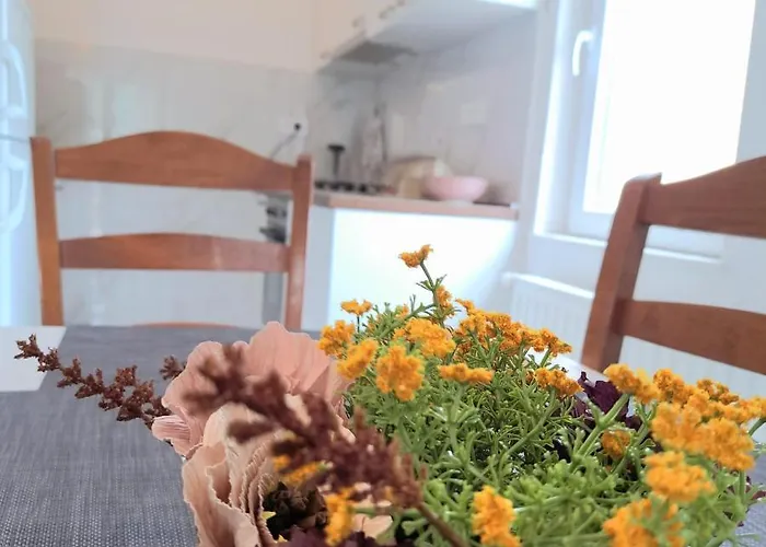 Apartamento Open Sea